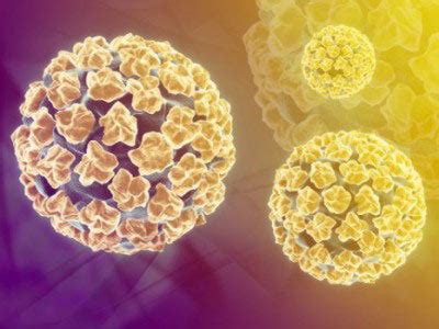 ВПЧ и мужское здоровье: потенциальные последствия