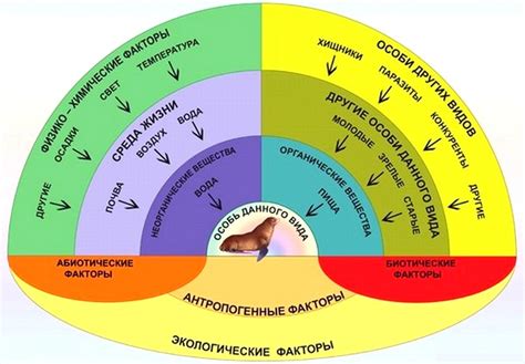 Важность защиты растения