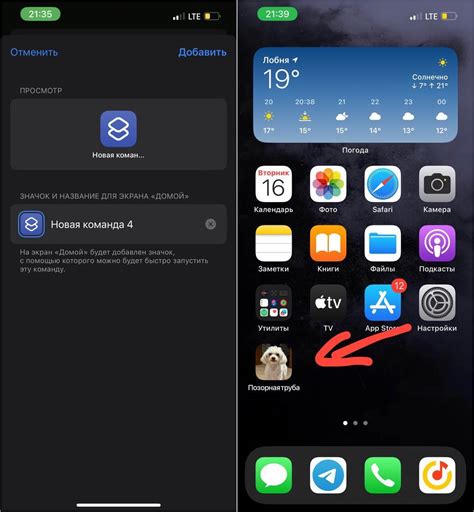 Важность настроек безопасности перед установкой приложения на iPhone 10