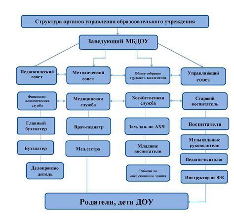 Важность организации органов