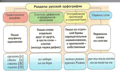 Важность орфографии и грамматики