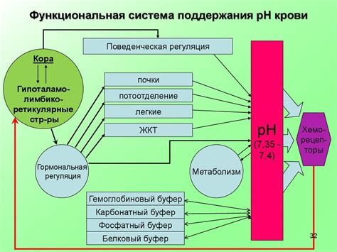 Важность поддержания постоянного pH клетки