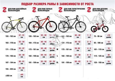 Важность правильного выбора размера рамы