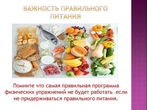 Важность правильного питания котенка