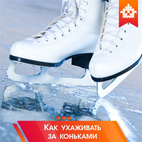 Важность правильного ухода за коньками