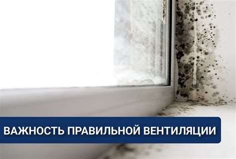 Важность правильной установки и вентиляции