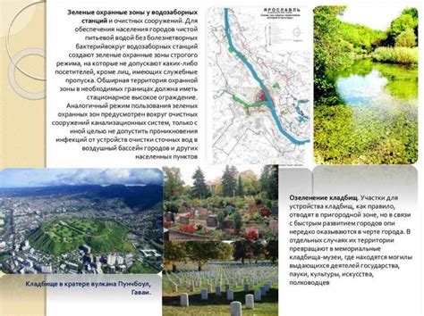 Важность экологии и зеленых зон в городской среде