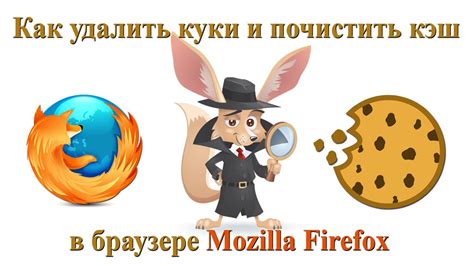 Важные аспекты очистки куки в Mozilla Firefox