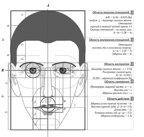 Важные детали при рисовании ботана