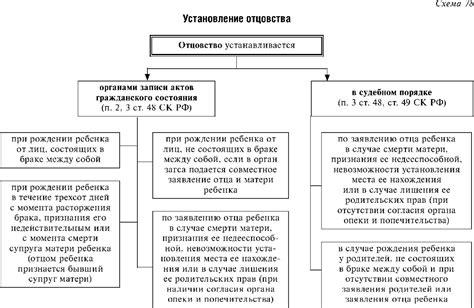 Важные документы и требования для установления отцовства