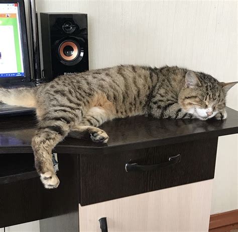 Важные моменты, о которых следует знать