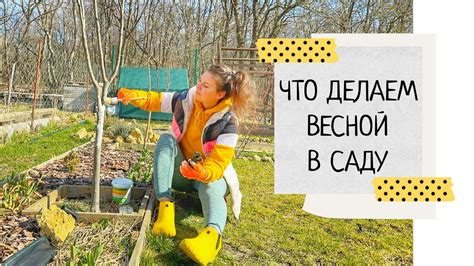 Важные работы и их значение
