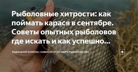Важные советы для рыболовов