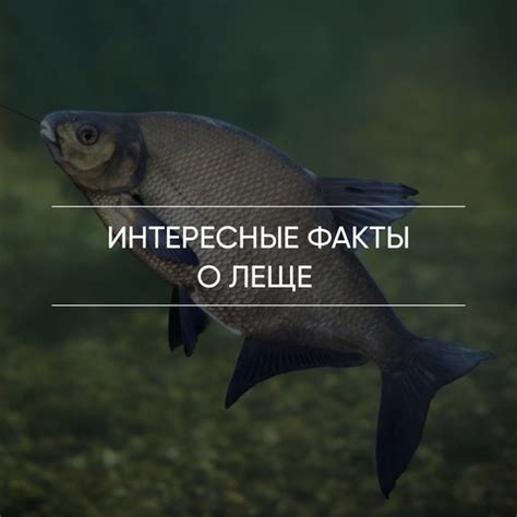 Важные факты о популярном именнике Иксаев