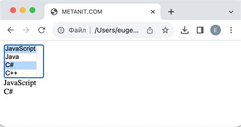 Варианты выбора option в JavaScript