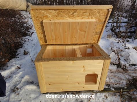 Варианты домиков для кошек на улице