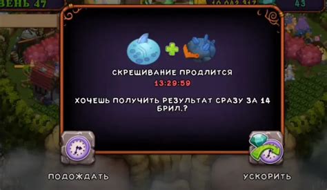 Варианты получения гу джуба