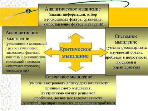 Василиса обладает аналитическим мышлением