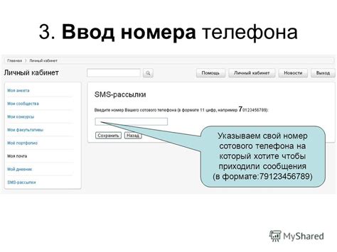 Ввод номера СТС в специальное поле