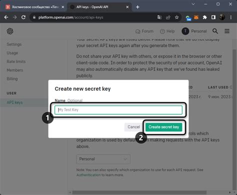 Ввод API-ключа в настройках приложения