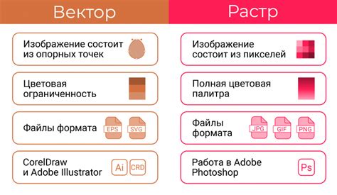 Векторная графика: принципы и преимущества