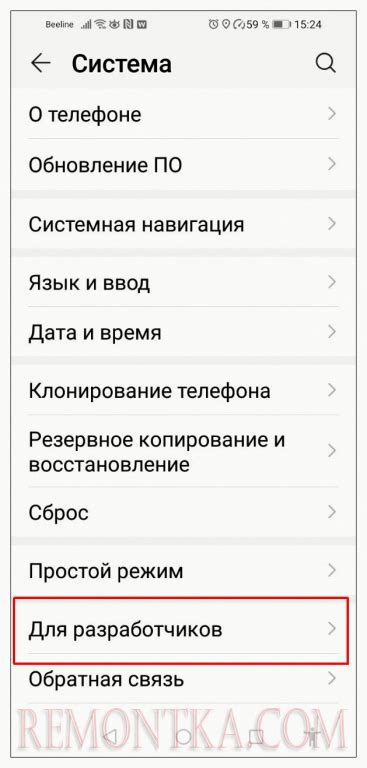 Вернитесь в настройки и откройте "Разработчикам"