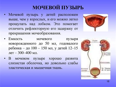 Вероятных причин увеличения мочевого пузыря у ребенка