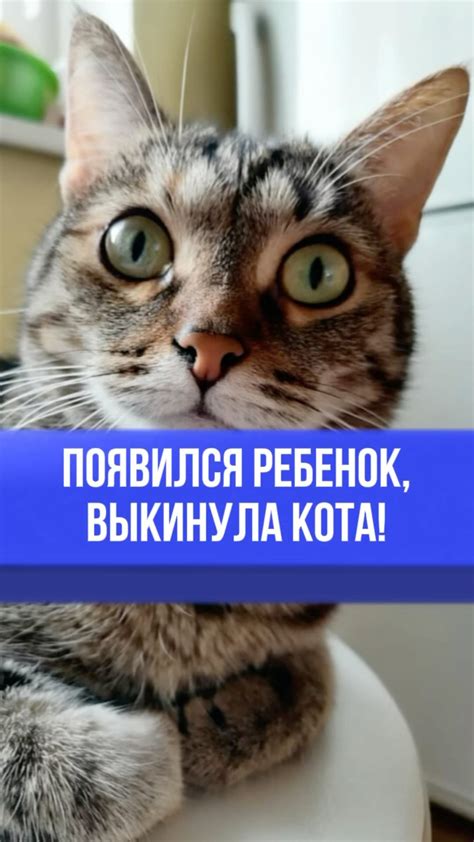 Ветеринарные осмотры не дают ответов