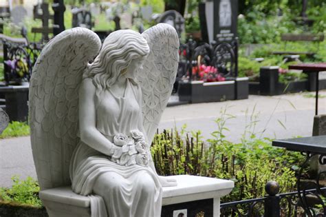 Взаимная поддержка в трудные моменты у Элен и Пьера