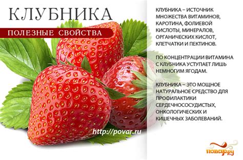 Взаимная польза чеснока и клубники