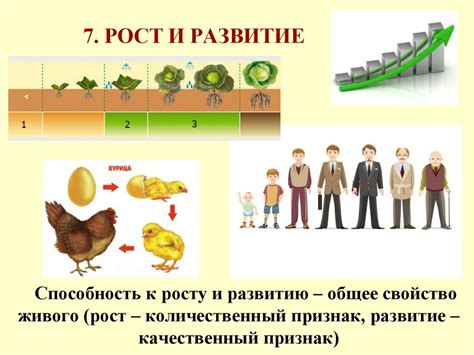 Взаимный рост и развитие