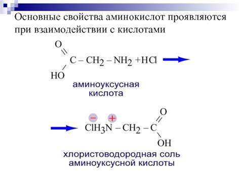 Взаимодействие аминокислот: основные аспекты