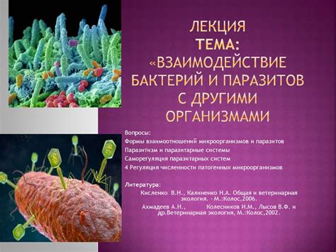 Взаимодействие зеленых водорослей с другими организмами без ризоидов