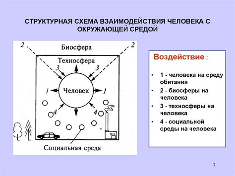 Взаимодействие среды и тела