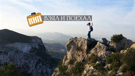 Взаимодействие с полевыми мышками