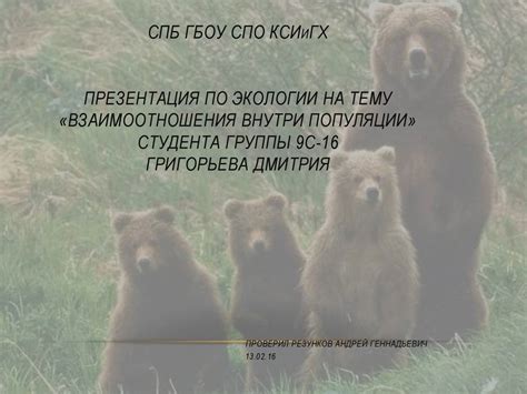 Взаимоотношения внутри группы