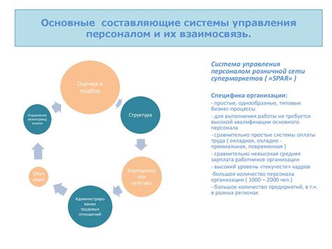 Взаимосвязь и вопросы: основные составляющие важности дела