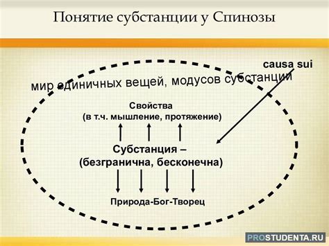 Взгляды на политику и общество у Спинозы