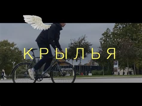 Видеоинструкция: как установить крылья M-Wave с нуля