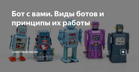 Виды ботов: основные типы и как их отличить друг от друга