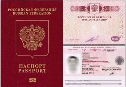 Виды паспортов в Шексне