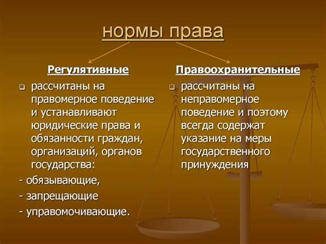 Виды правовых норм и их значение