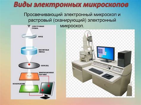 Виды электронных микроскопов