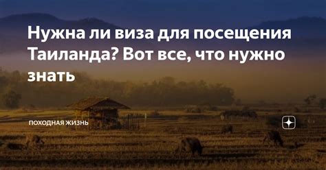 Виза в Финляндию: всё, что нужно знать
