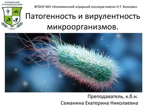 Вирулентность стрептококка: возможность выживания и размножения