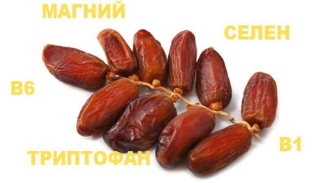 Витаминный состав фиников и его влияние на организм