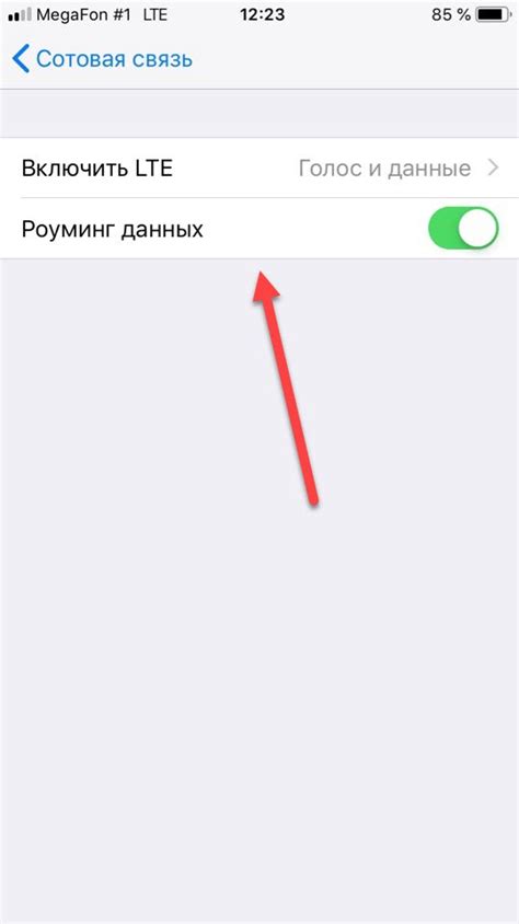Включение роуминга на iPhone