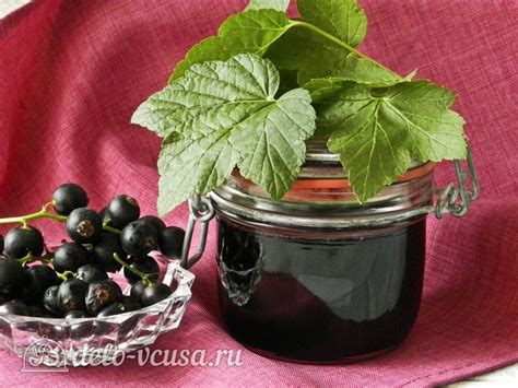 Вкусный рецепт желе из черной смородины