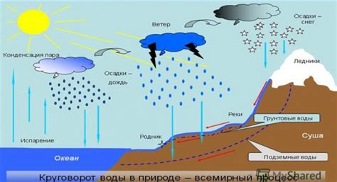 Влажность воздуха и водопоглощение