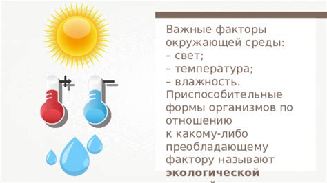 Влажность и иней: важные факторы